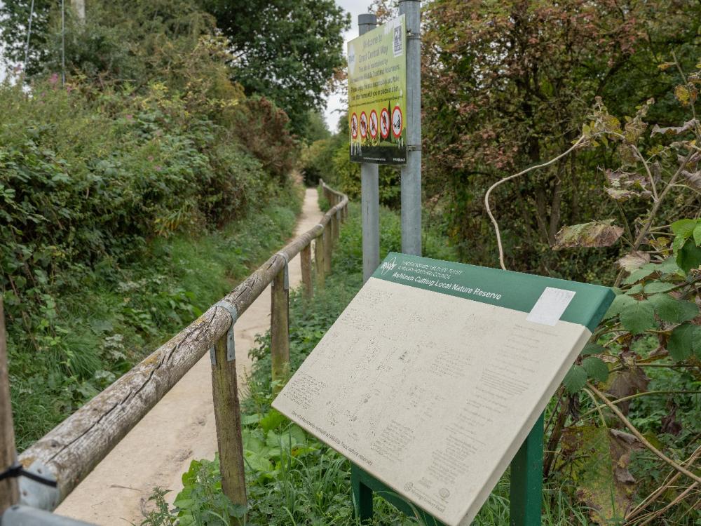 Ashlawn Cutting local nature reserve